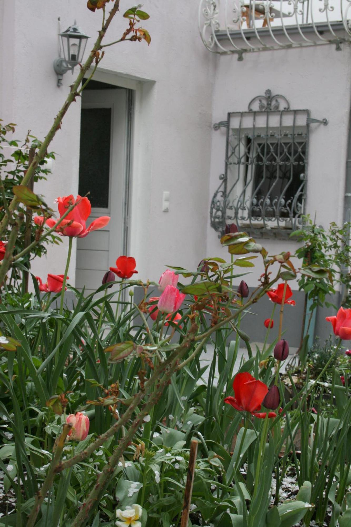 Appertment Im Garten Appartement Worms Buitenkant foto