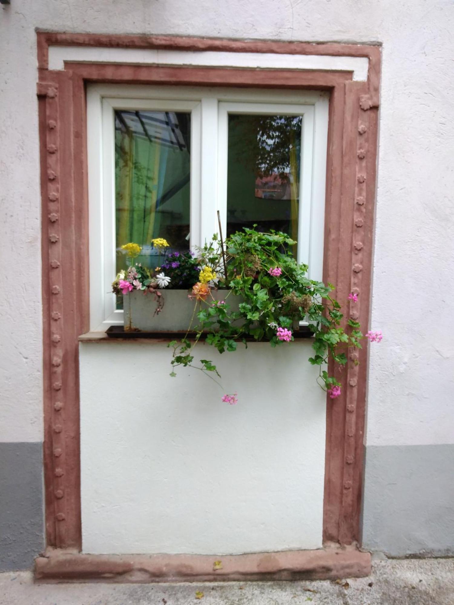 Appertment Im Garten Appartement Worms Buitenkant foto