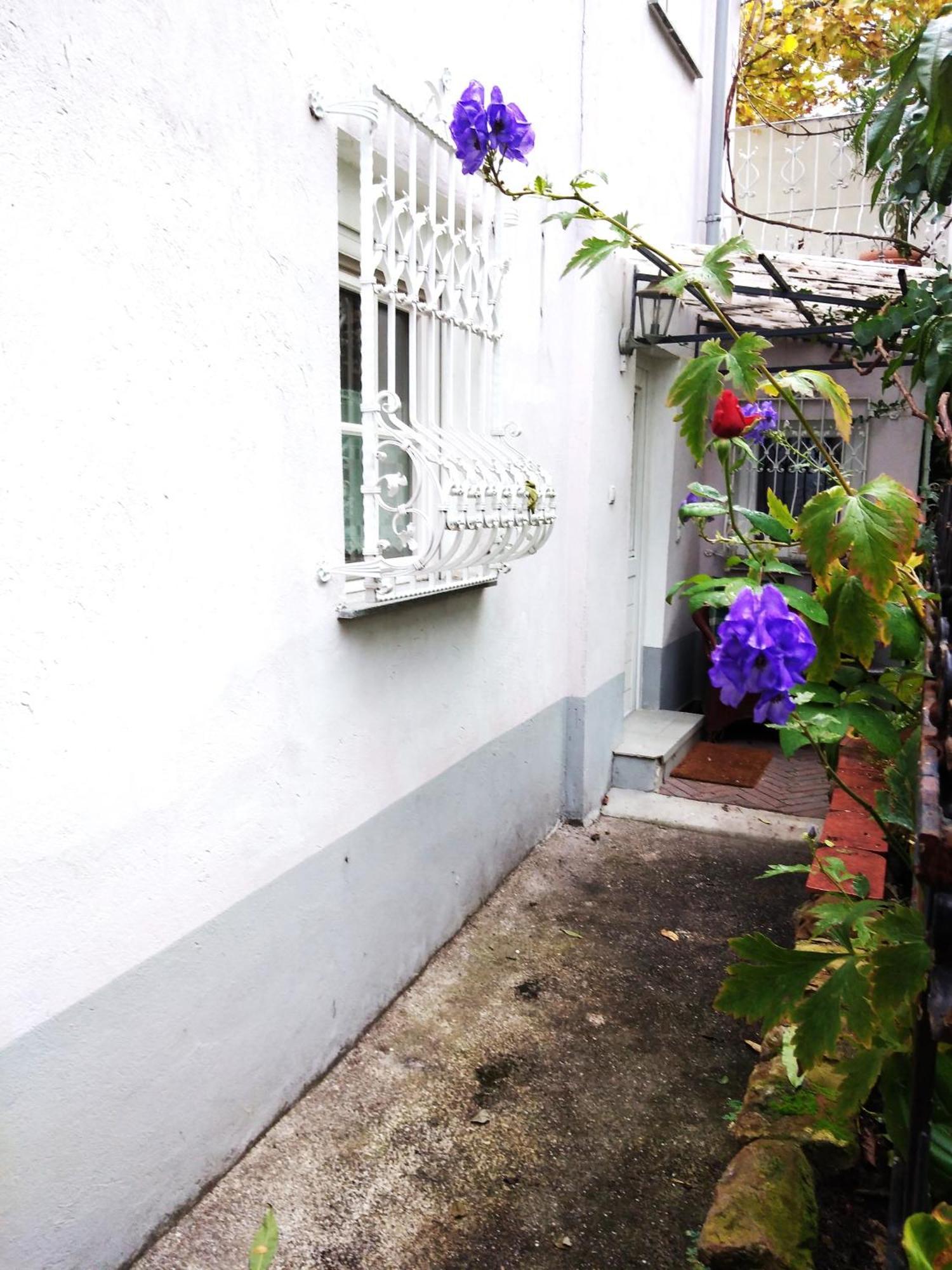 Appertment Im Garten Appartement Worms Buitenkant foto